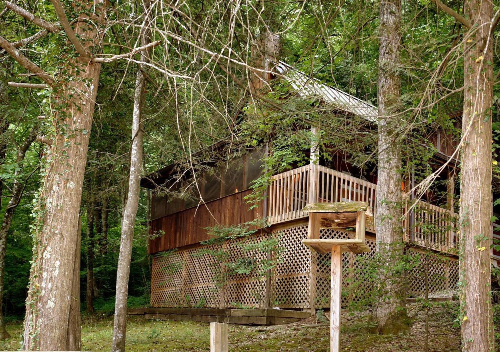 Parkside Party #1676 Villa Gatlinburg Exterior foto